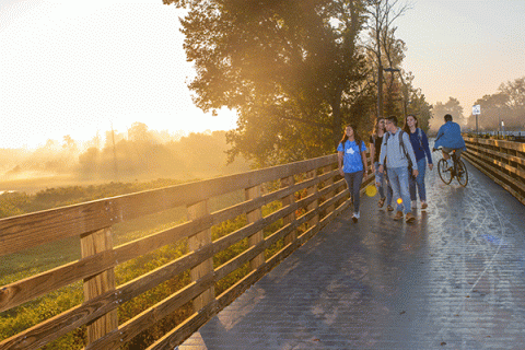 A group of students on a path next to a fence with a field and sunrise in the background