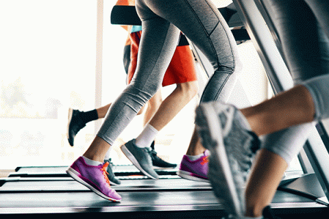 Four pairs of legs running on treadmills. The two pairs of legs closest to the camera wear grey leggings. The third pair, further back, wears red shorts. The fourth pair appears to be wearing black shorts but the person is barely visible from behind the other three. All wear grey or black athletic footwear except for the second person, who is wearing violet-colored running shoes.